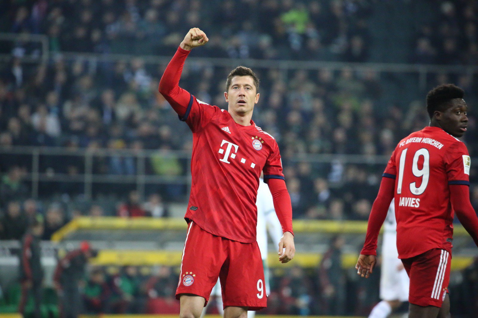 日处理60T动物油熬练生产线