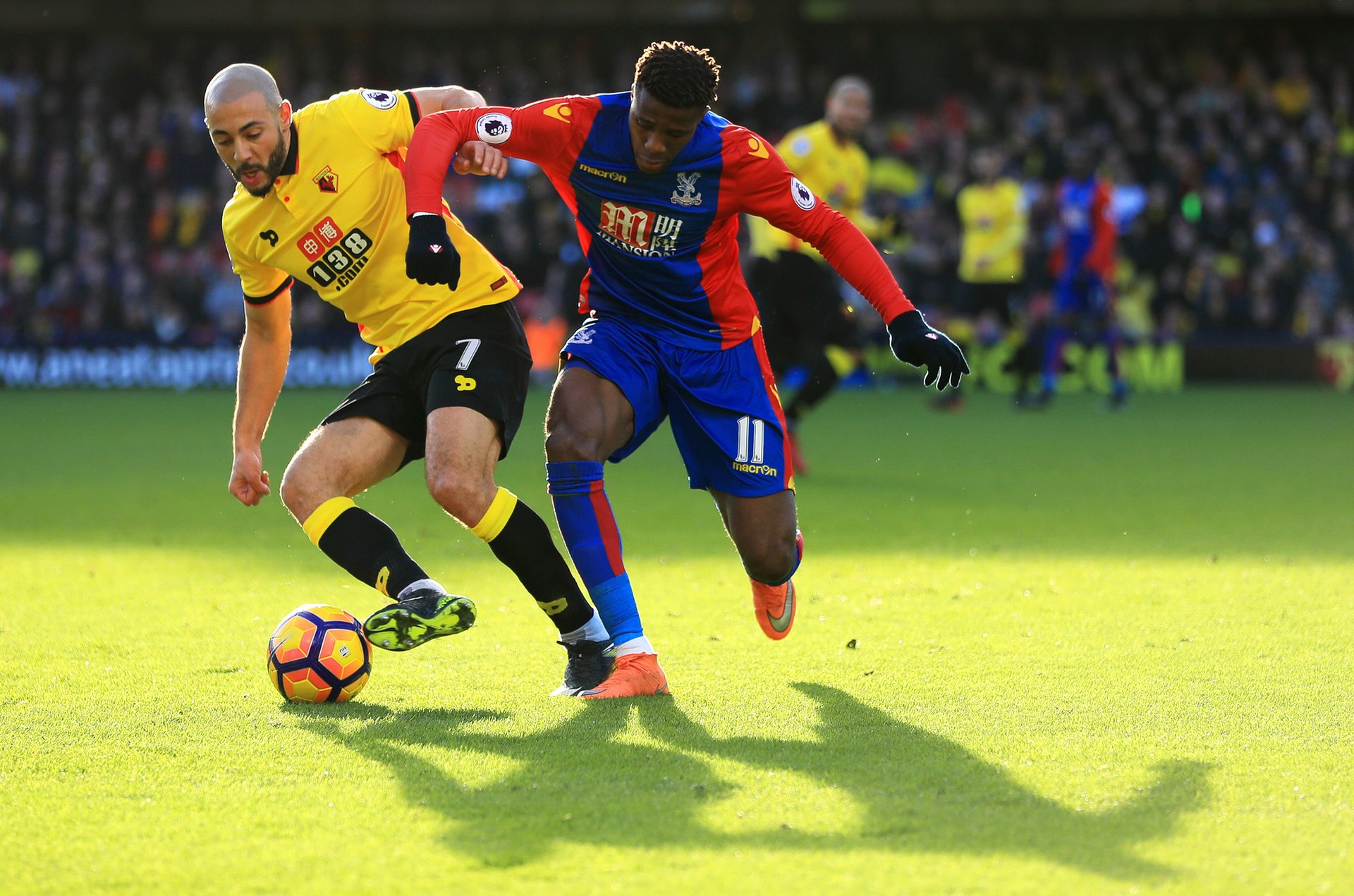 日处理60T动物油熬练生产线